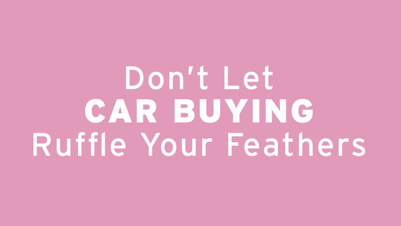 AutoNation "Pet Peeves"
